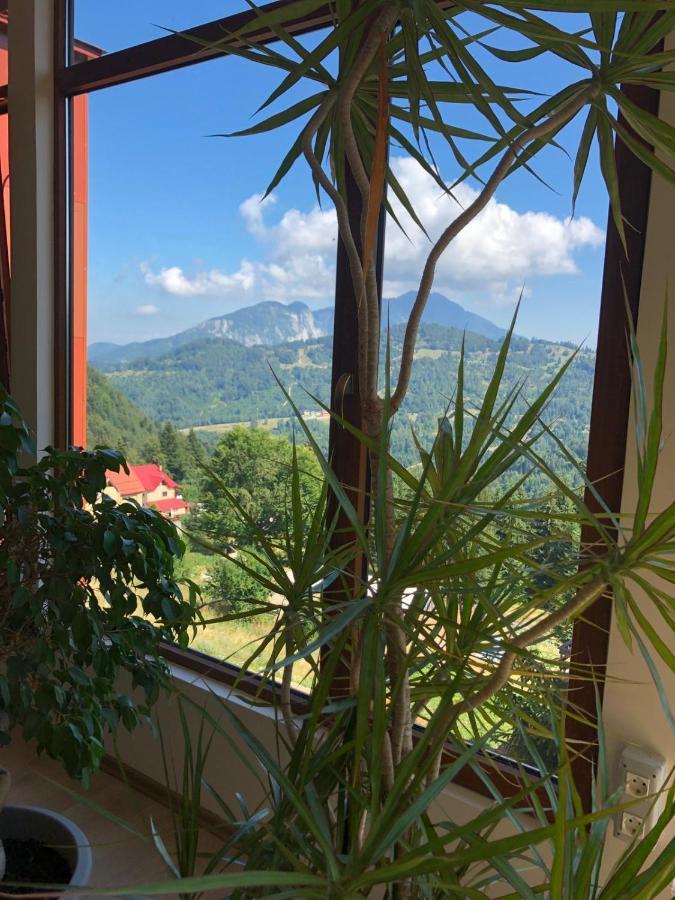 Genco Hotel Mountain View 프레데알 외부 사진